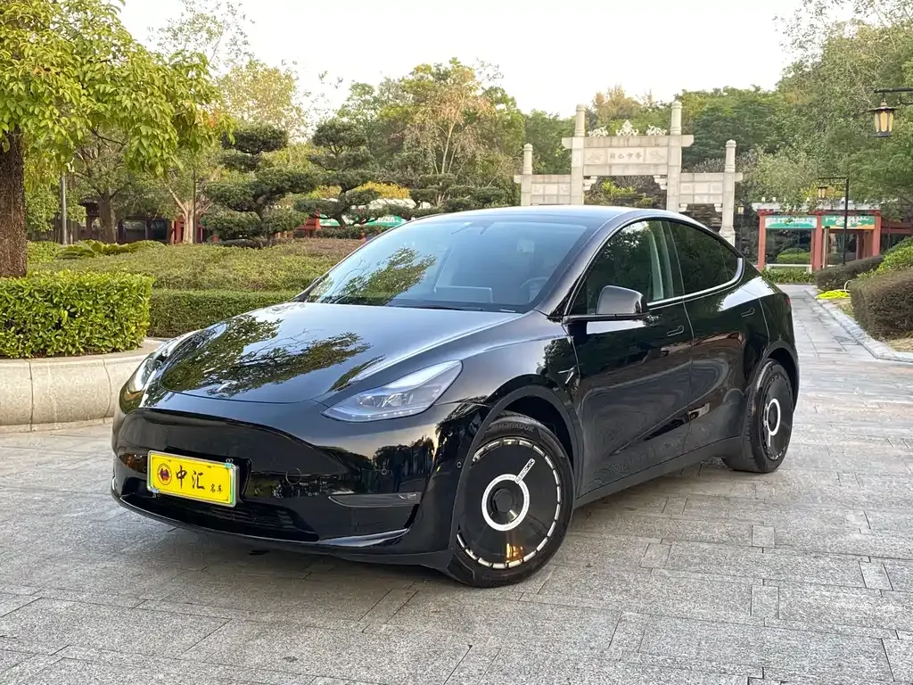 Tesla Model Y 2021 из CN, фото 1