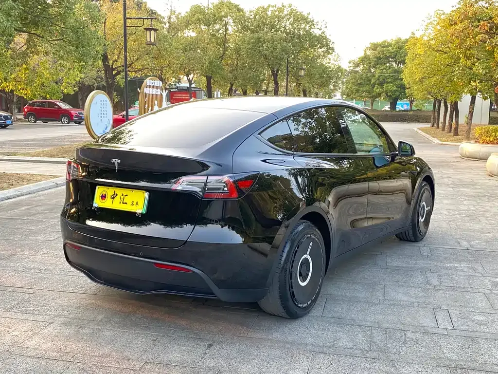 Tesla Model Y 2021 из CN, фото 10