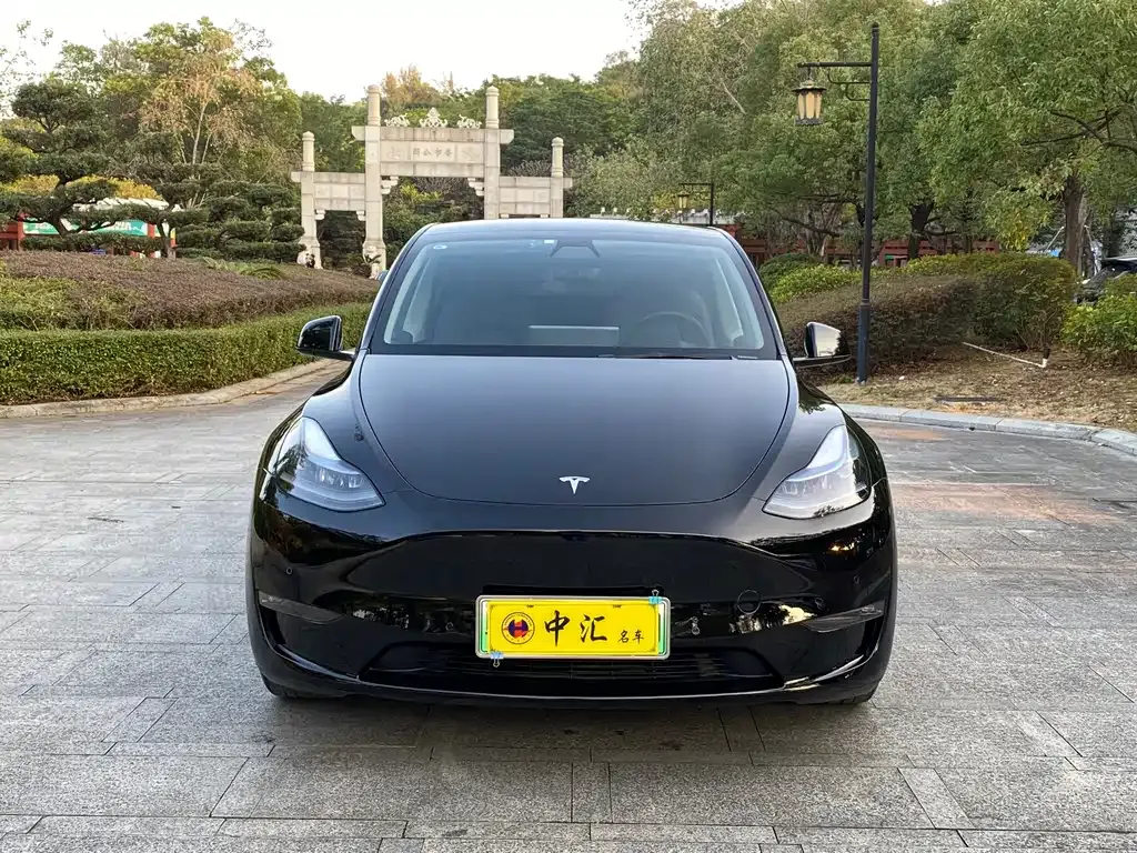 Tesla Model Y 2021 из CN, фото 6