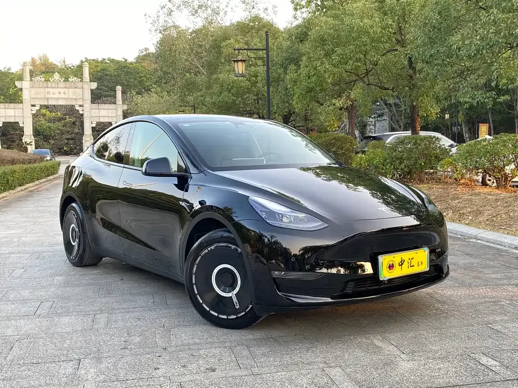 Tesla Model Y 2021 из CN, фото 9