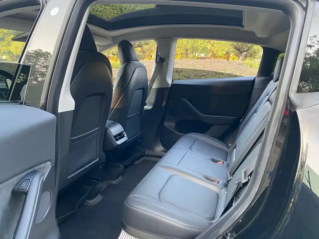 Tesla Model Y 2021 из CN, фото 8