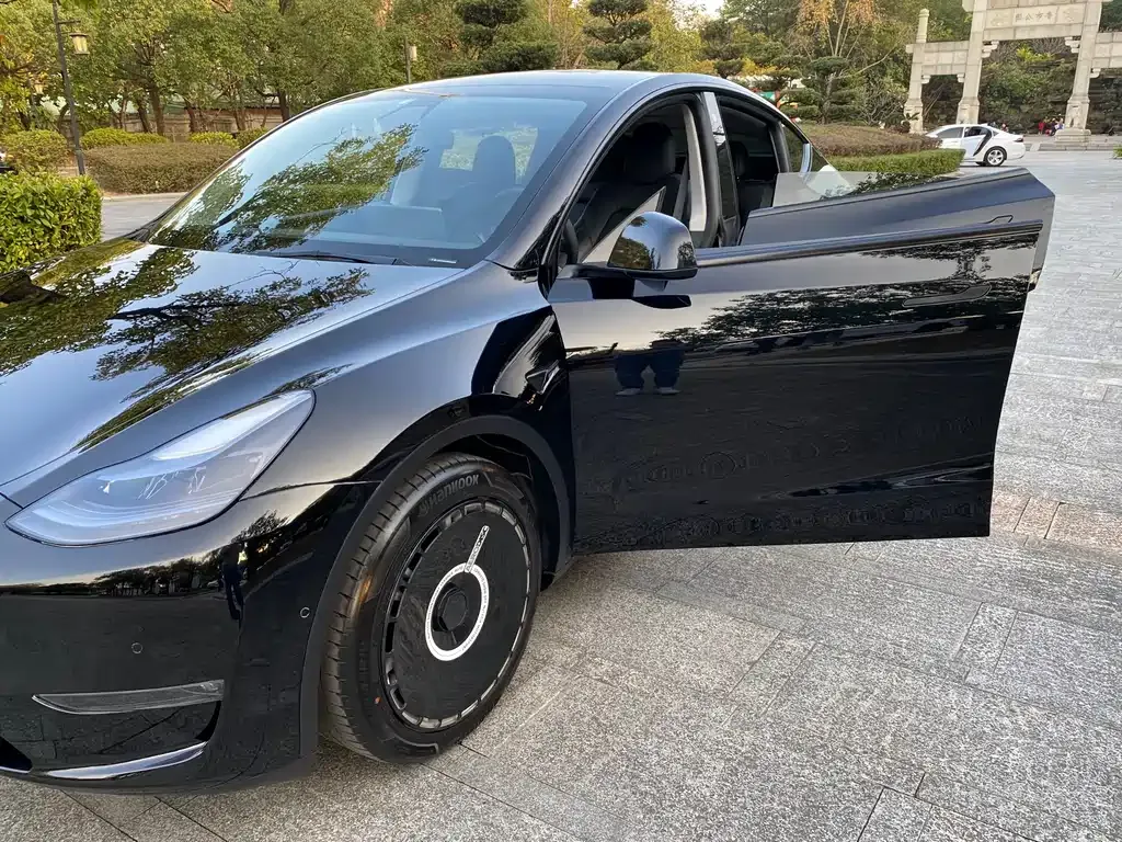 Tesla Model Y 2021 из CN, фото 5