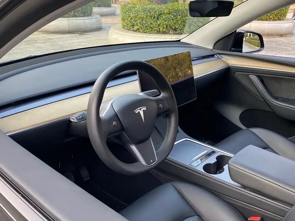 Tesla Model Y 2021 из CN, фото 2