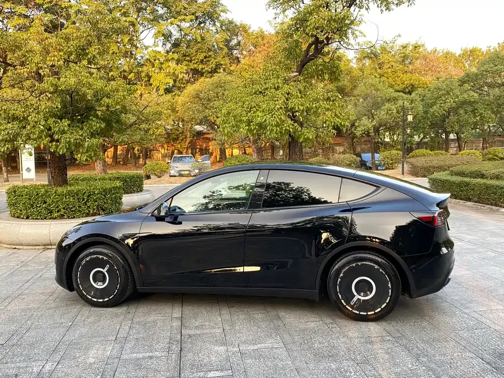 Tesla Model Y 2021 из CN, фото 4