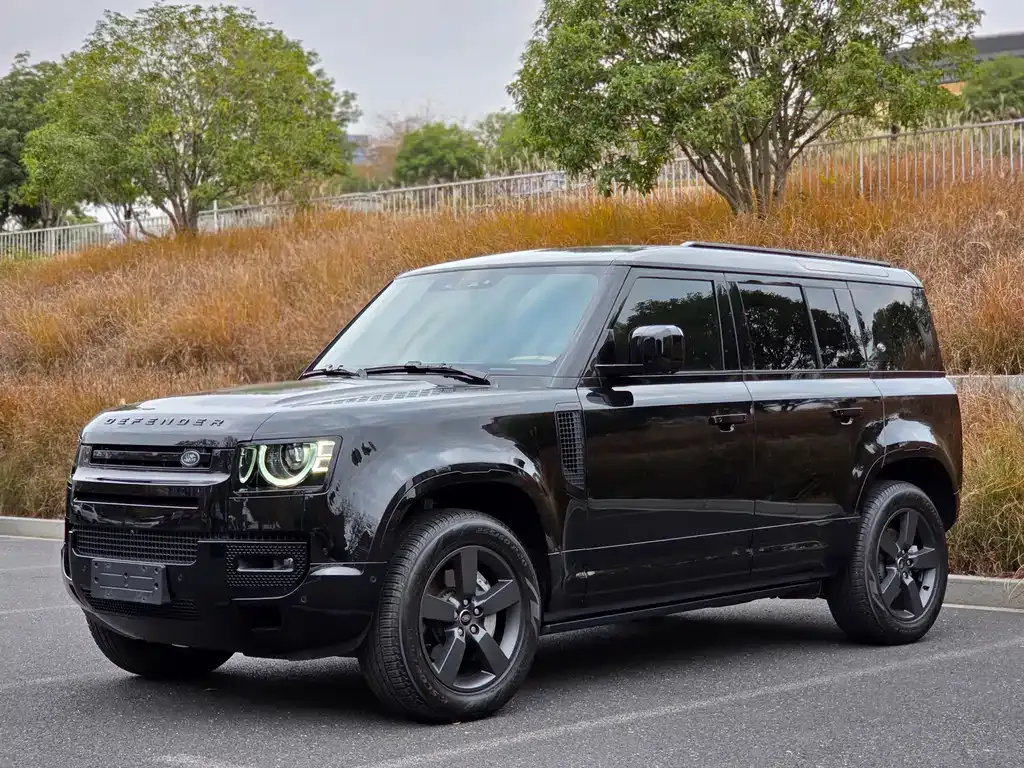 Land Rover Defender 2024 из CN, фото 1