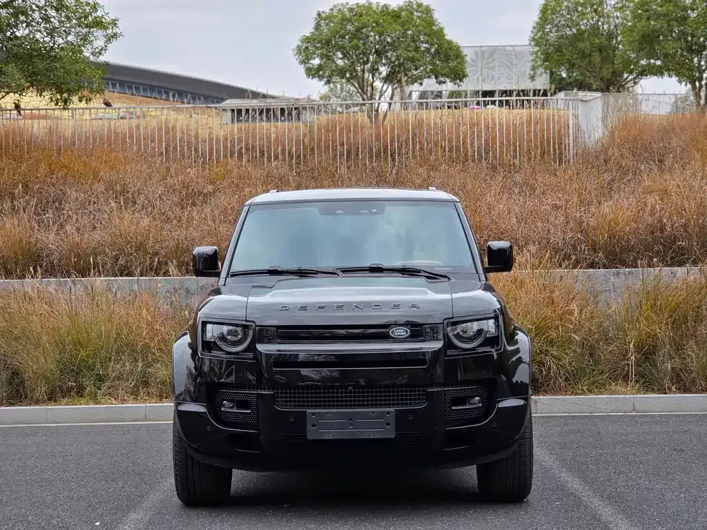 Land Rover Defender 2024 из CN, фото 4