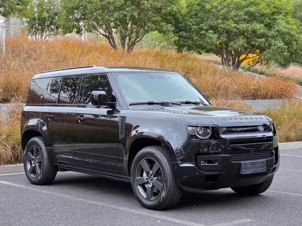 Land Rover Defender 2024 из CN, фото 7
