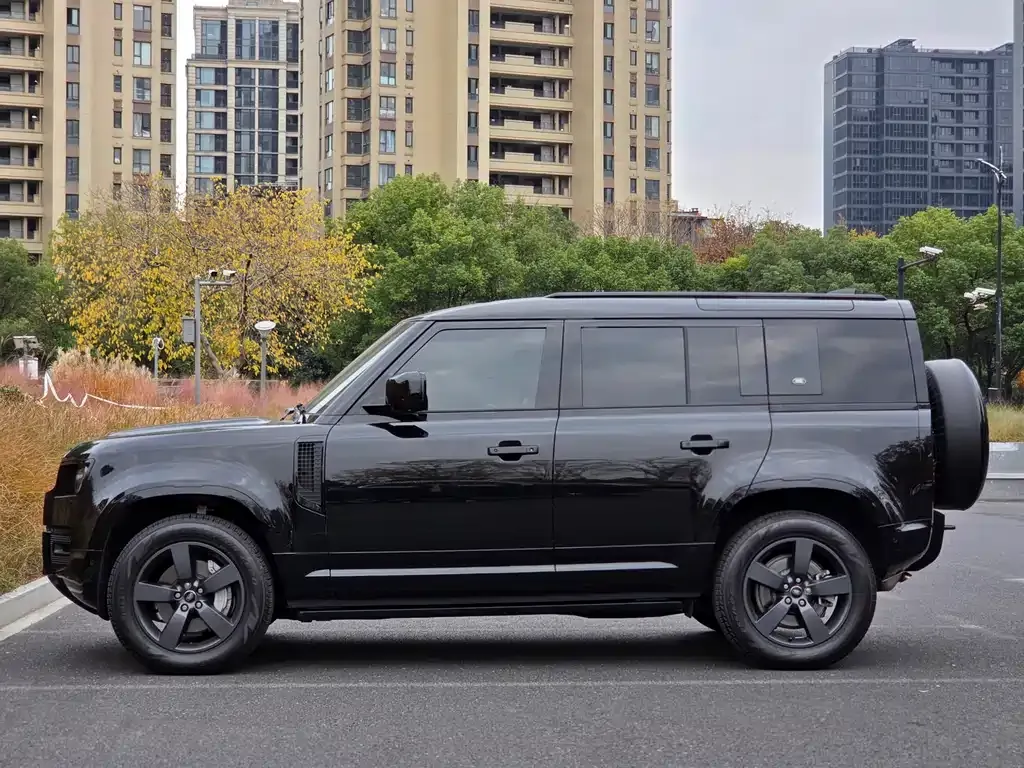 Land Rover Defender 2024 из CN, фото 6