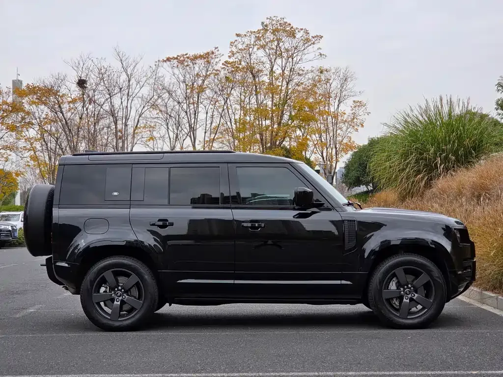 Land Rover Defender 2024 из CN, фото 8