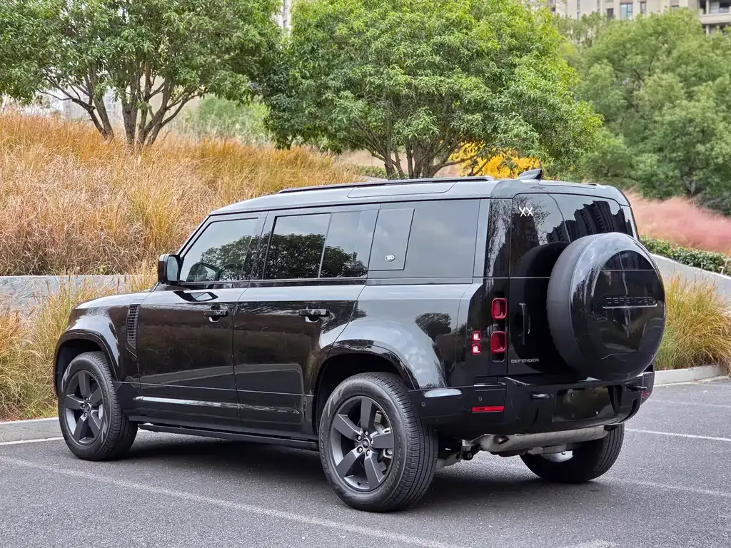 Land Rover Defender 2024 из CN, фото 9