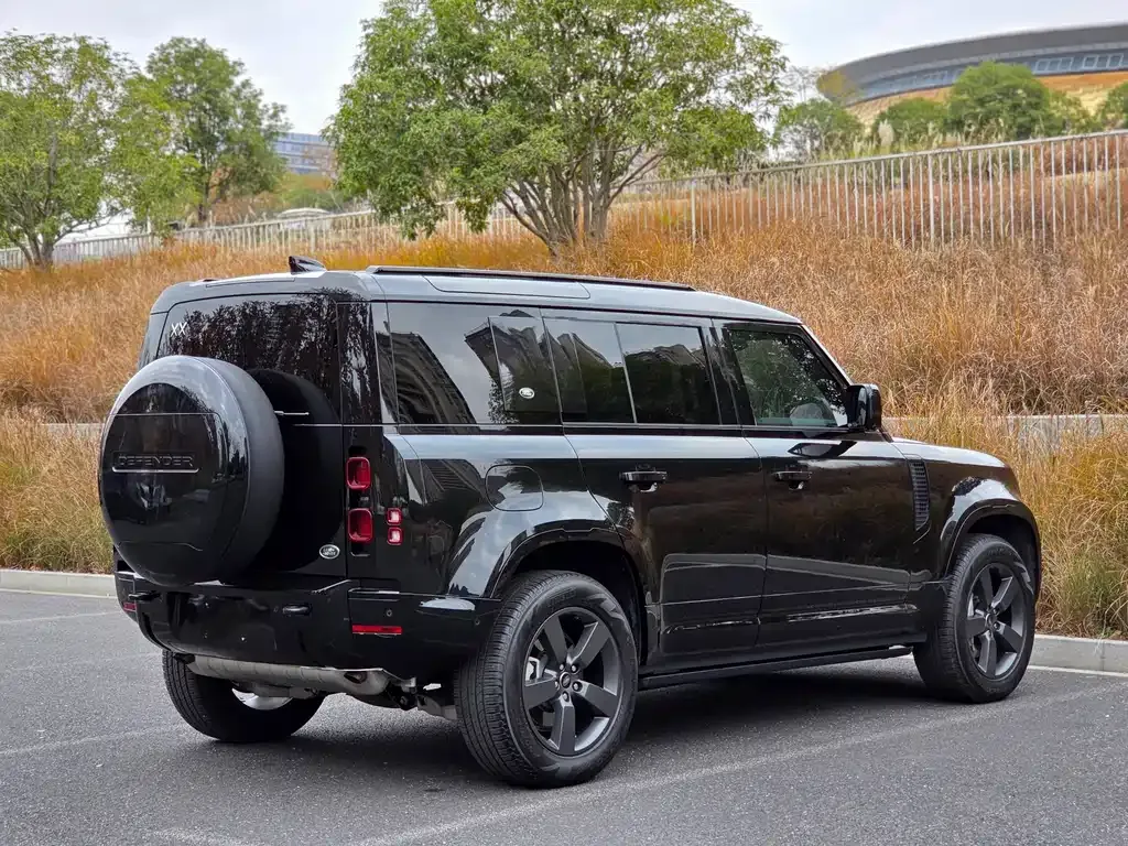 Land Rover Defender 2024 из CN, фото 5