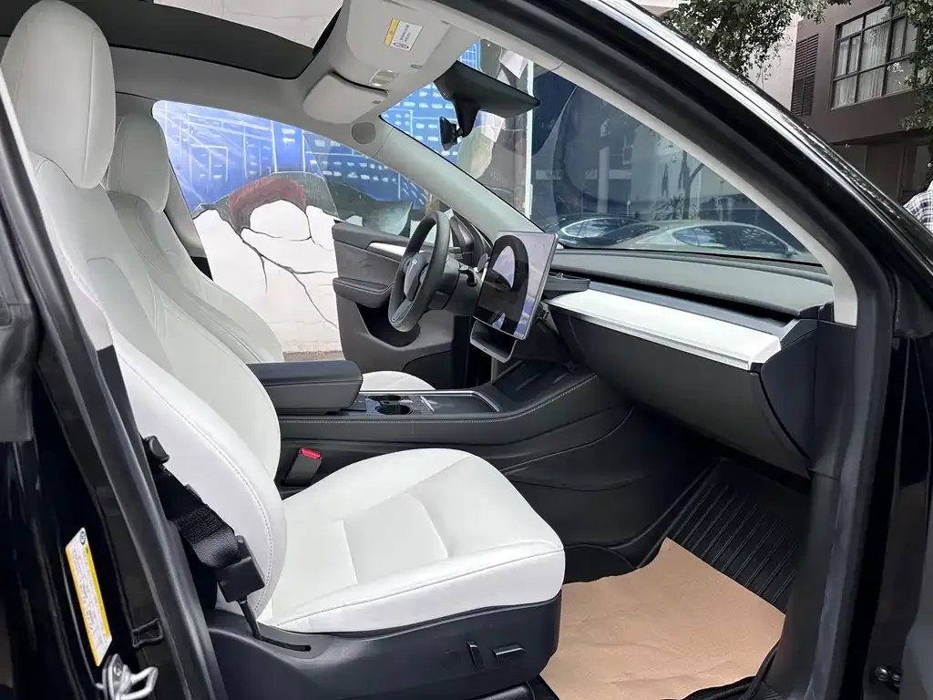 Tesla Model Y 2023 из CN, фото 10