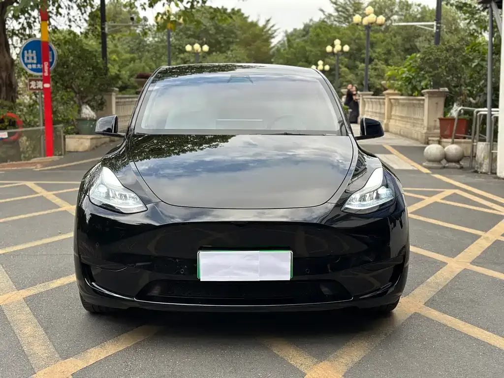 Tesla Model Y 2023 из CN, фото 2