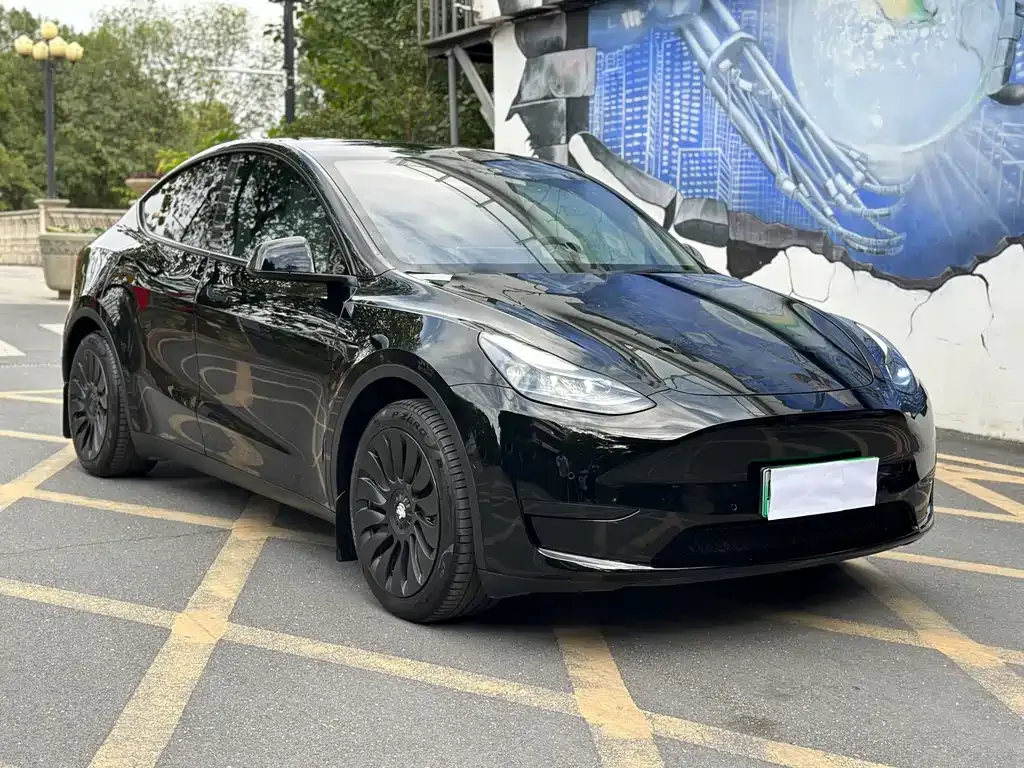 Tesla Model Y 2023 из CN, фото 3