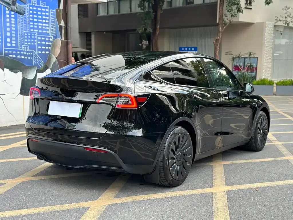 Tesla Model Y 2023 из CN, фото 6
