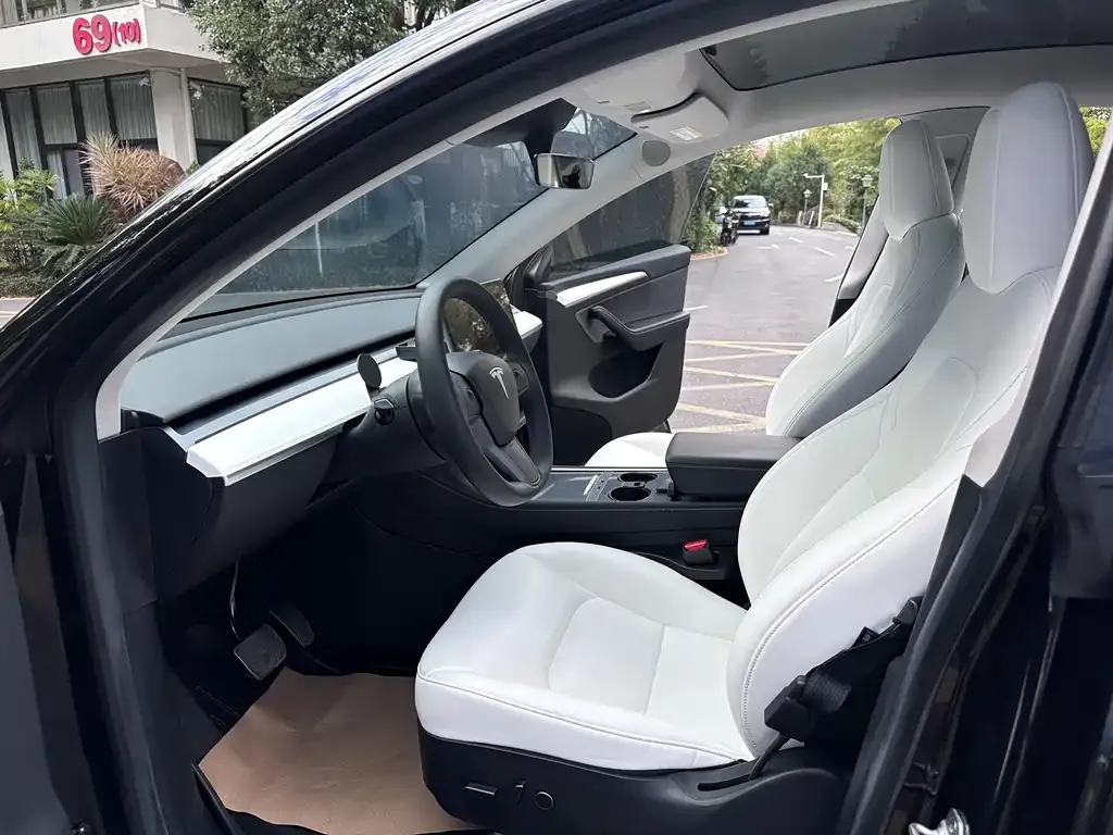 Tesla Model Y 2023 из CN, фото 9