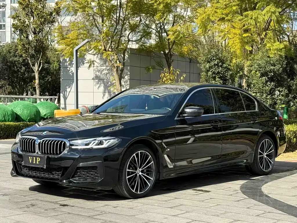 BMW 5 Series 2023 из CN, фото 1