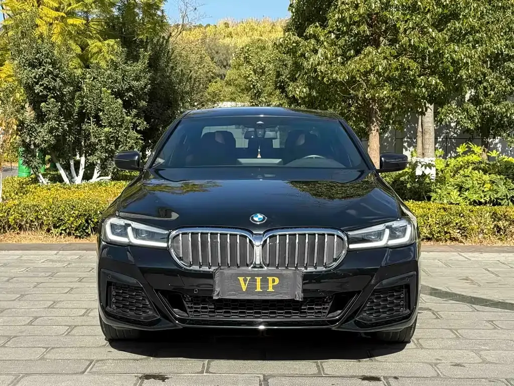 BMW 5 Series 2023 из CN, фото 4
