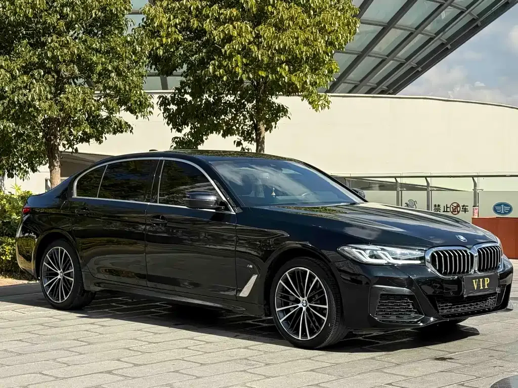 BMW 5 Series 2023 из CN, фото 5