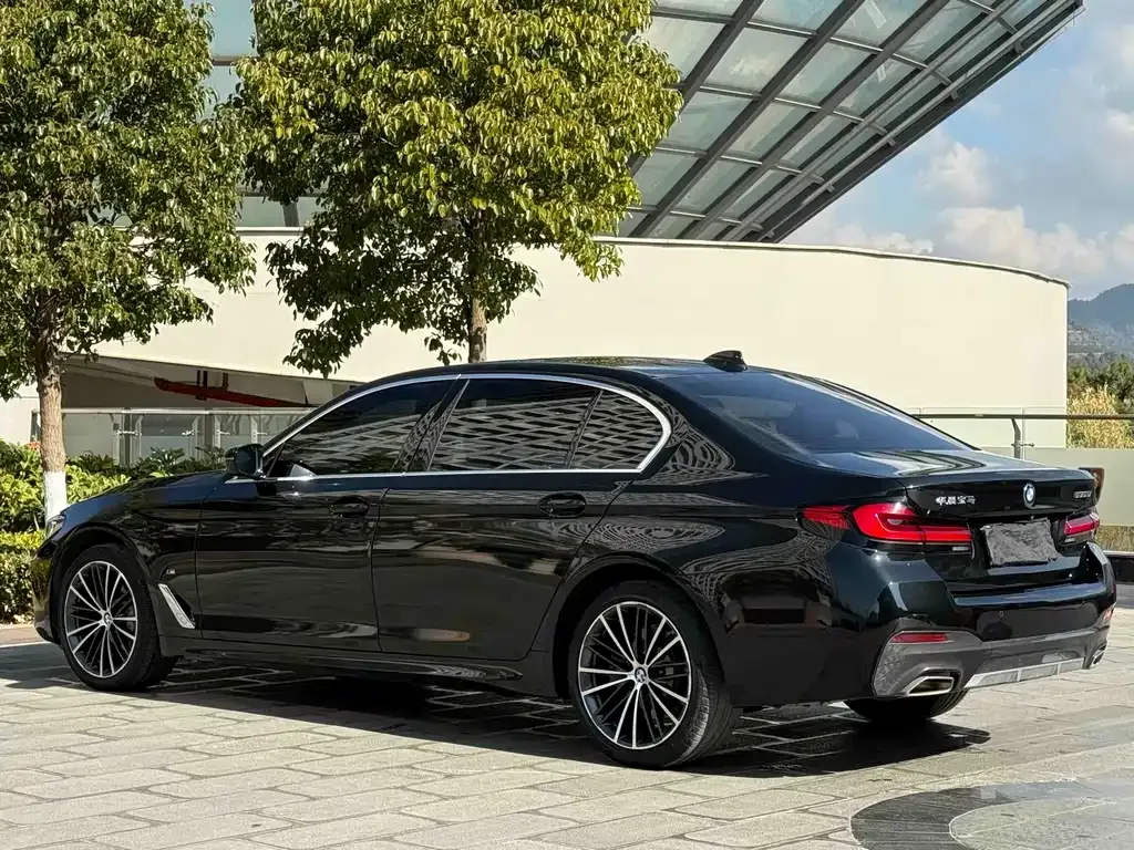 BMW 5 Series 2023 из CN, фото 9