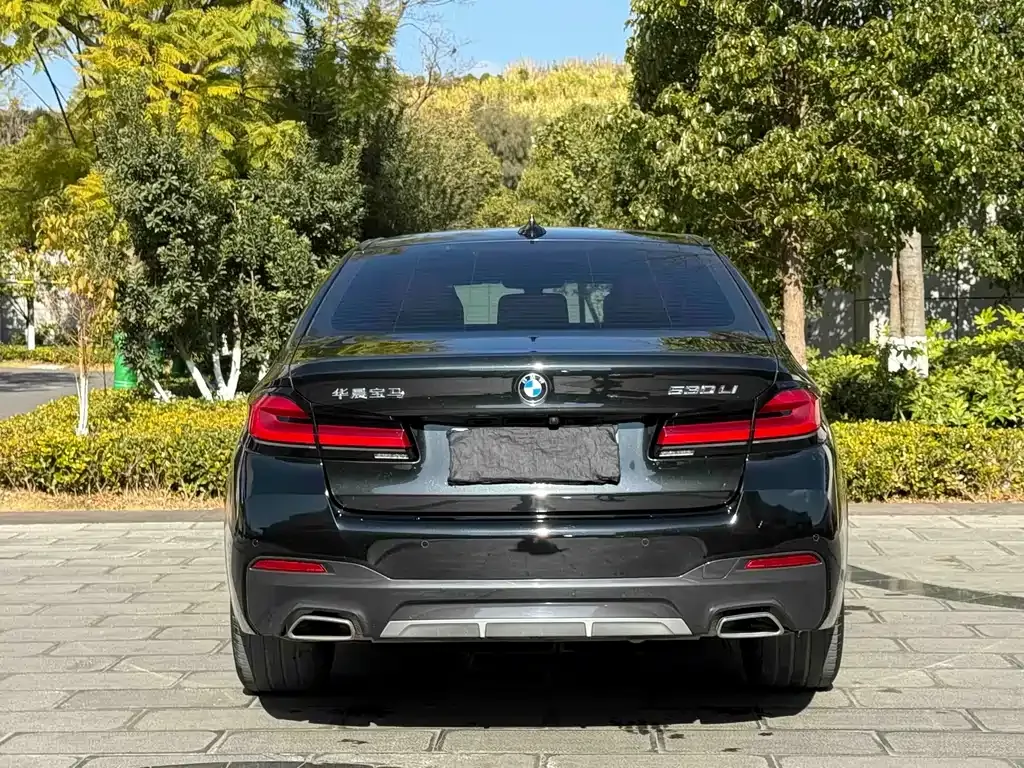 BMW 5 Series 2023 из CN, фото 6