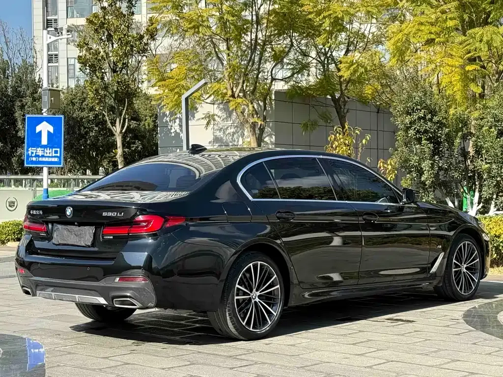 BMW 5 Series 2023 из CN, фото 8