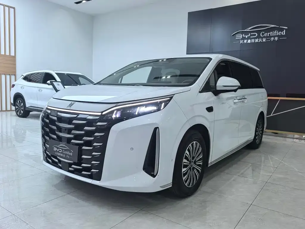 BYD Xia 2025 из CN, фото 1