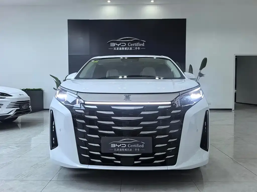 BYD Xia 2025 из CN, фото 2