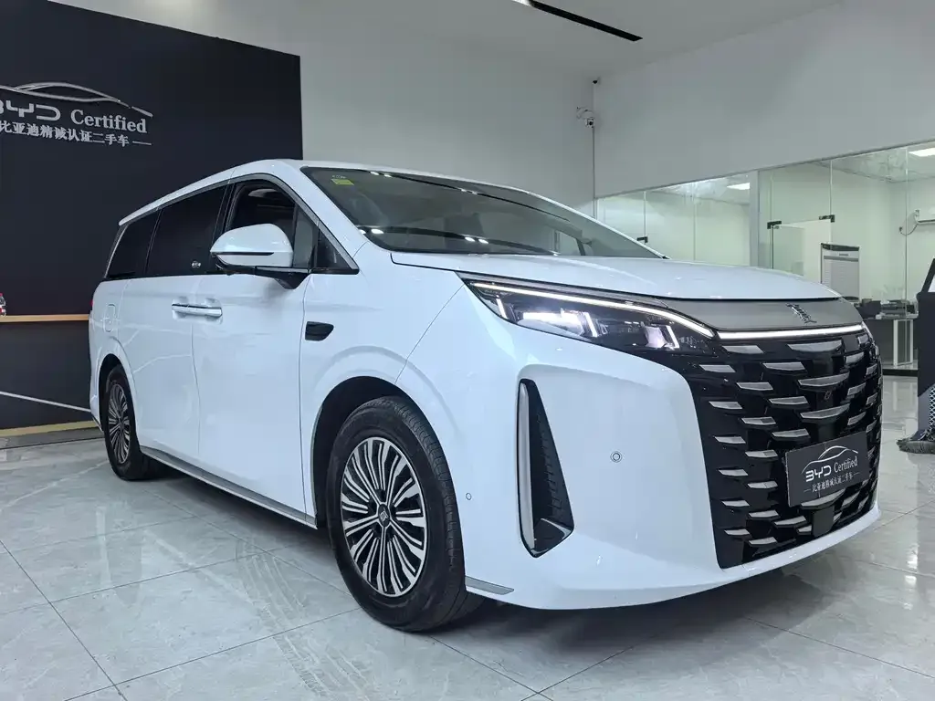 BYD Xia 2025 из CN, фото 5