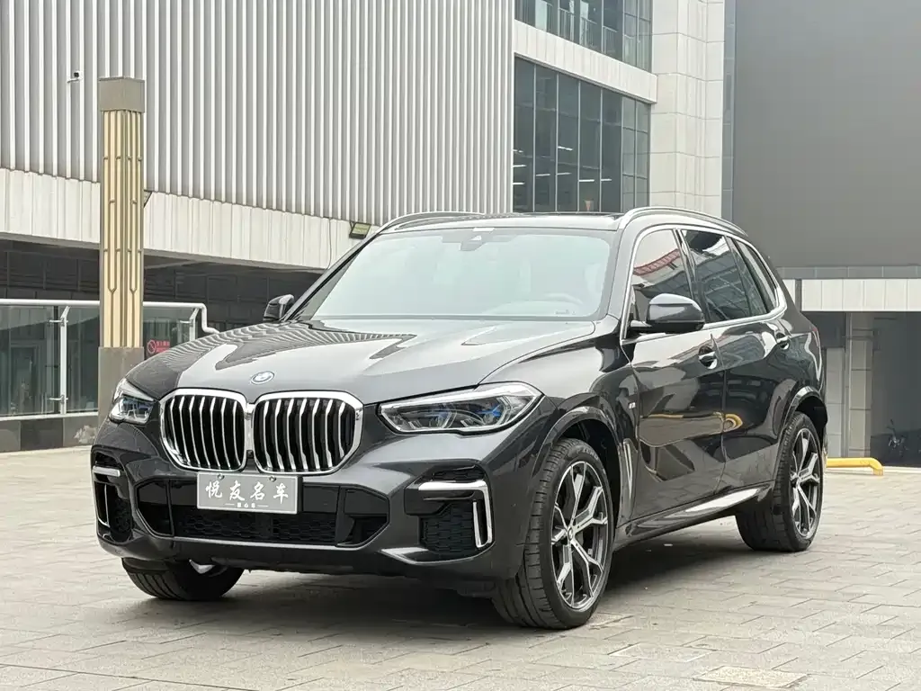 BMW X5 2022 из CN, фото 1