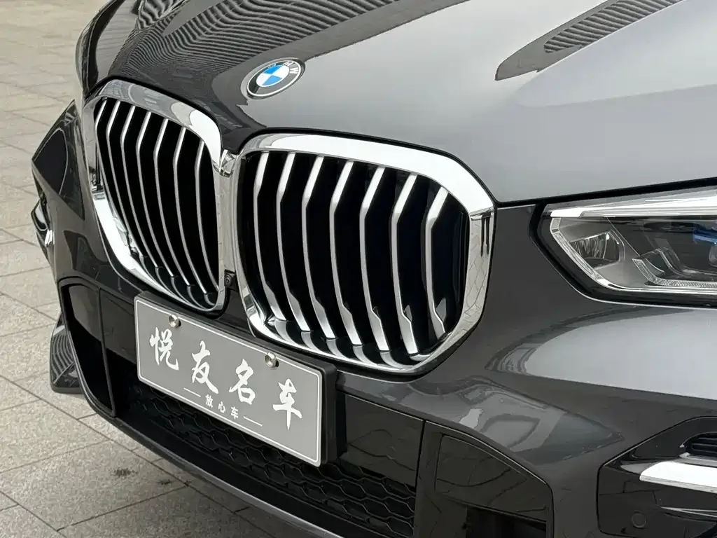 BMW X5 2022 из CN, фото 5