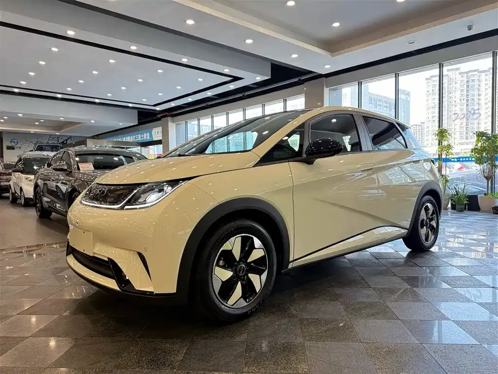 BYD Dolphin 2024 из CN, фото 1