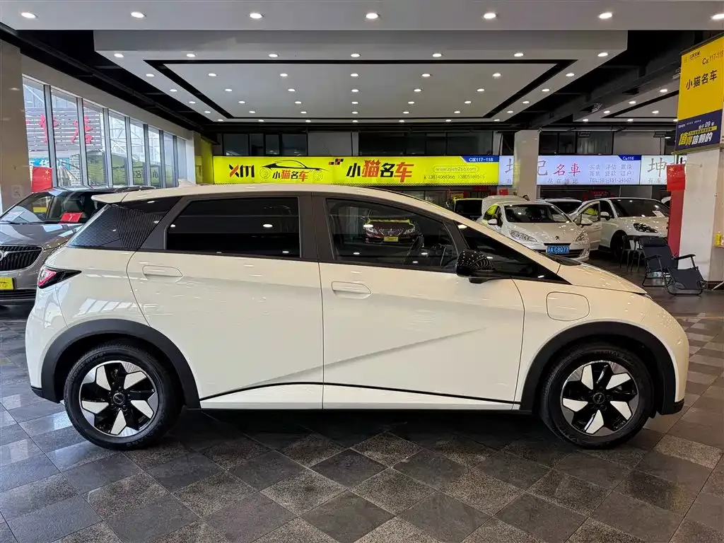 BYD Dolphin 2024 из CN, фото 10