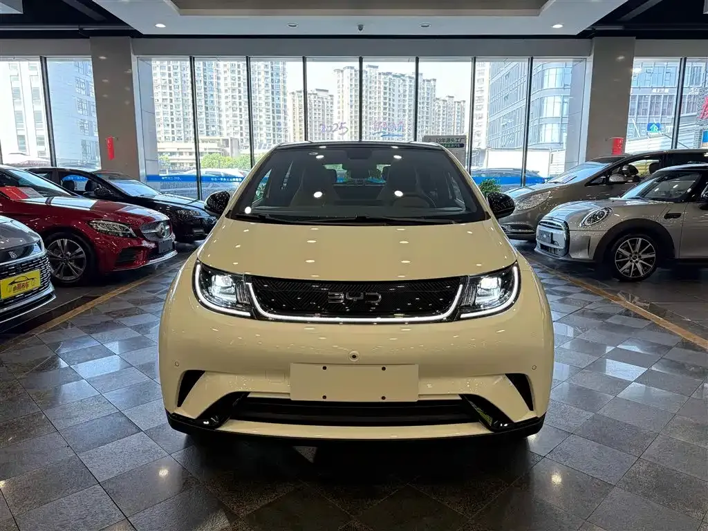 BYD Dolphin 2024 из CN, фото 7