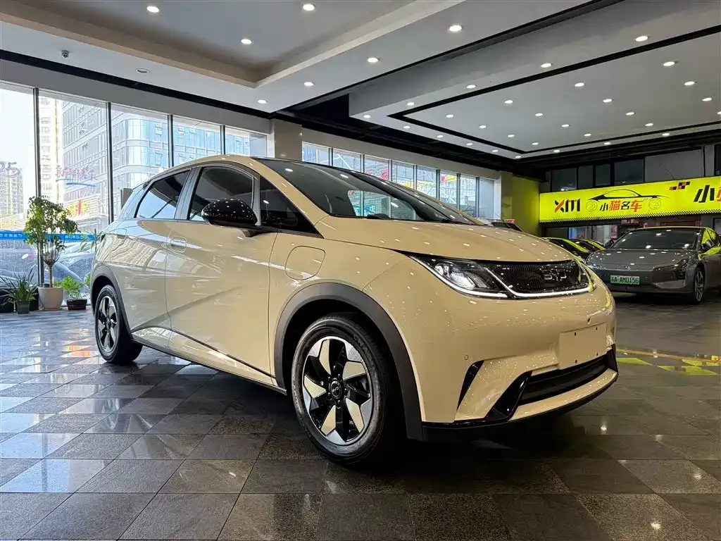 BYD Dolphin 2024 из CN, фото 3