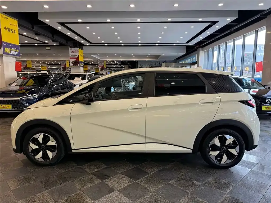 BYD Dolphin 2024 из CN, фото 6