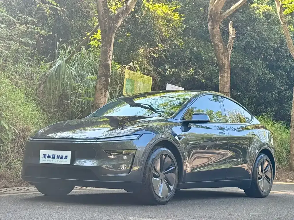 Tesla Model Y 2025 из CN, фото 1