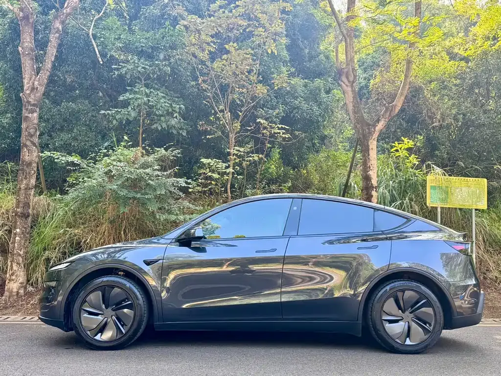 Tesla Model Y 2025 из CN, фото 7