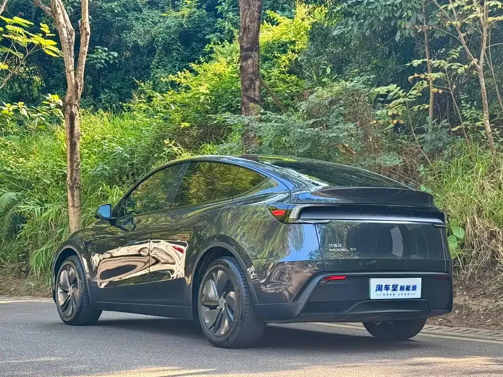 Tesla Model Y 2025 из CN, фото 9