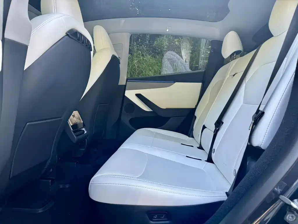 Tesla Model Y 2025 из CN, фото 2