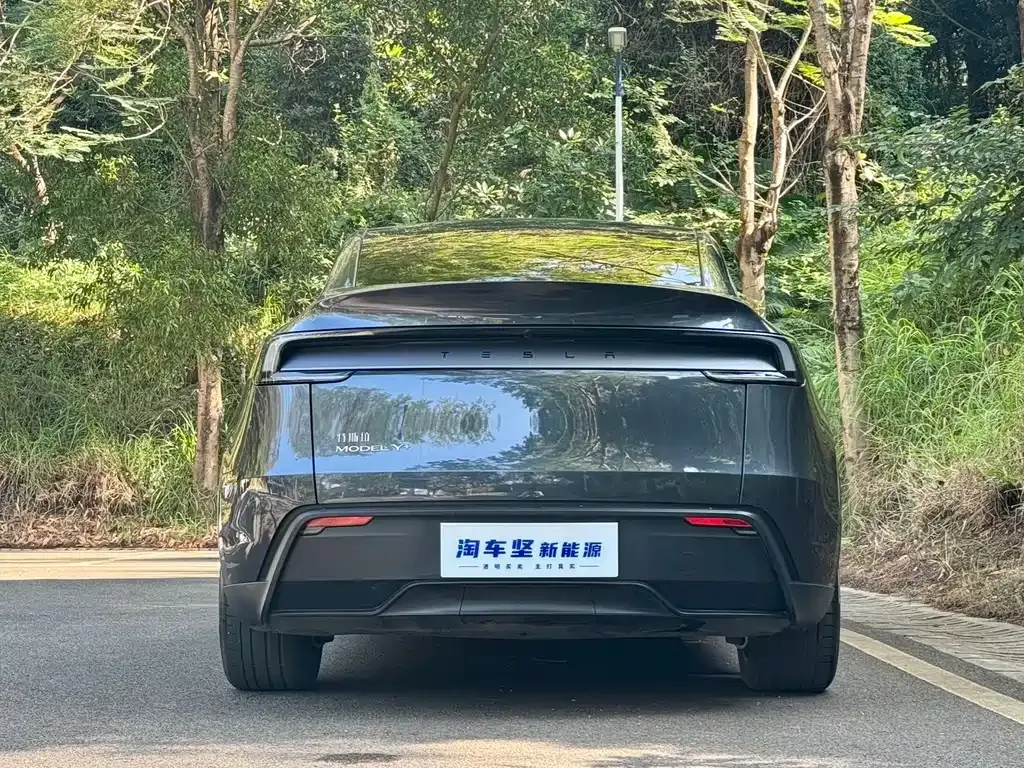 Tesla Model Y 2025 из CN, фото 10