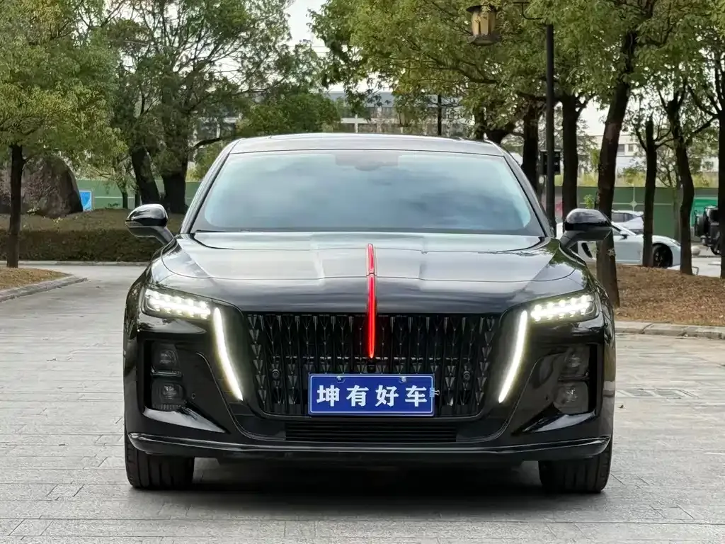 Hongqi H5 2025 из CN, фото 2