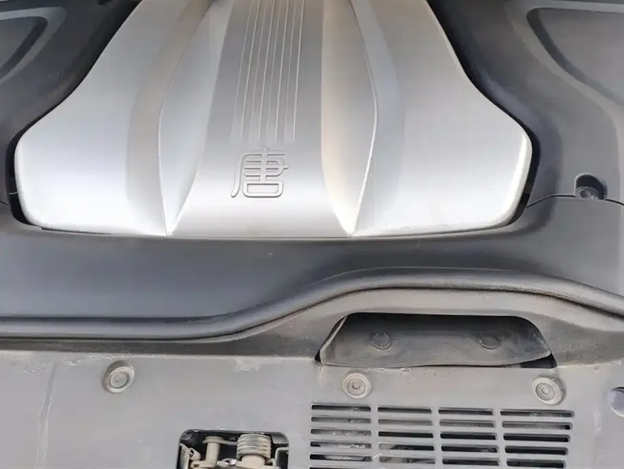 BYD Tang New Energy 2021 из CN, фото 5