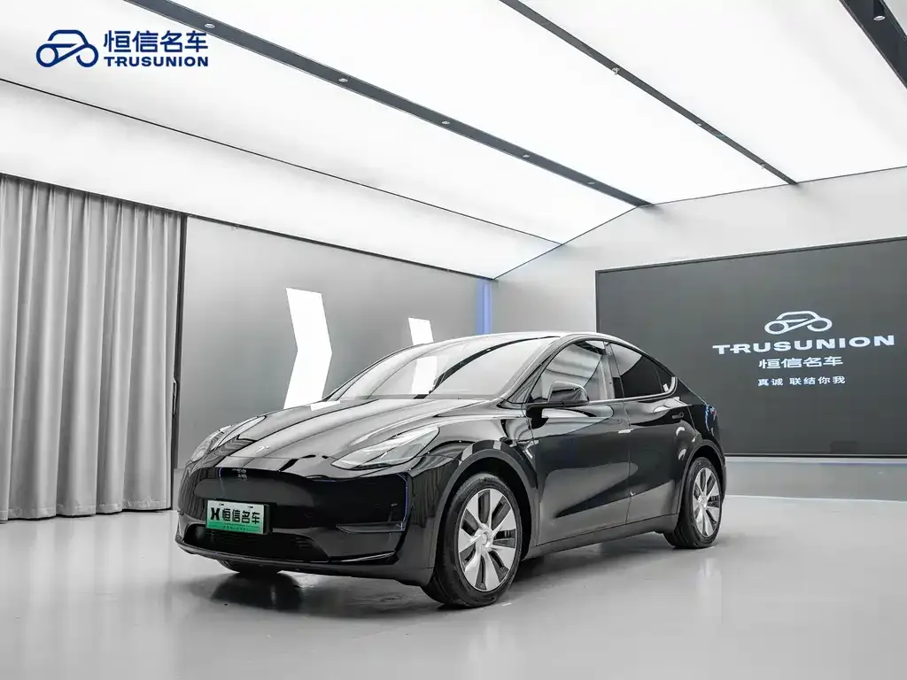Tesla Model Y — фото 1