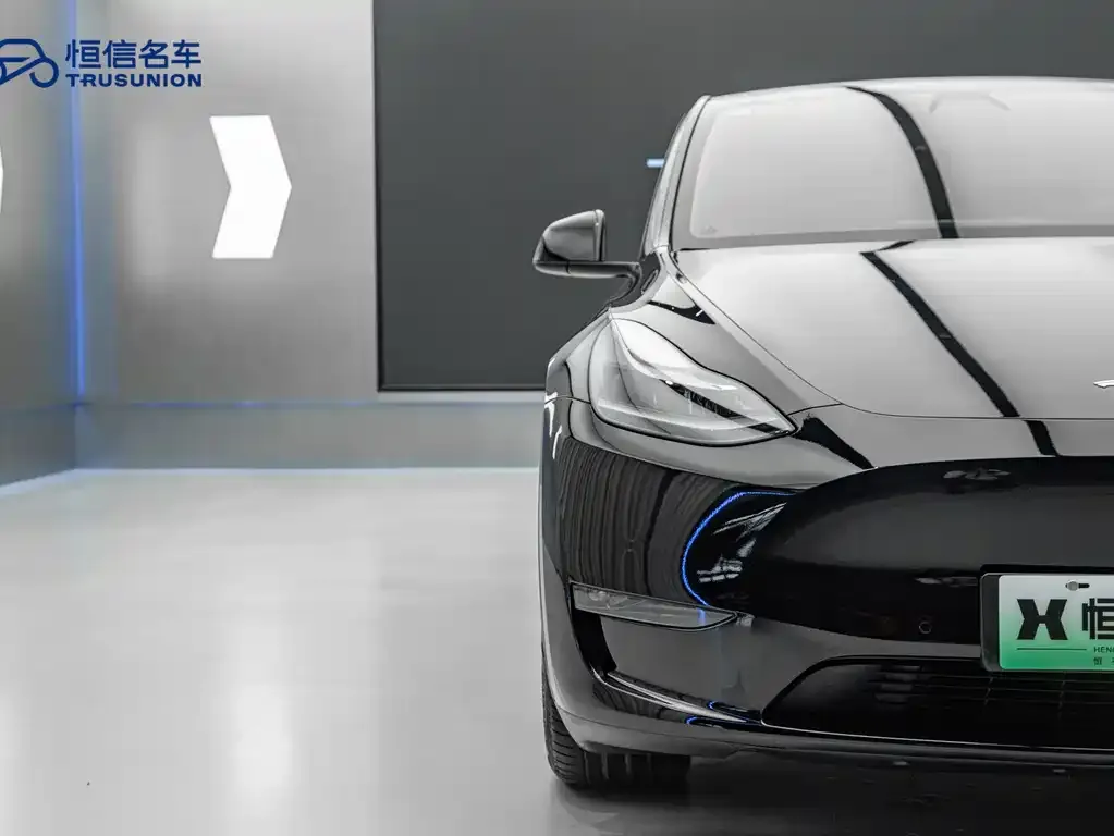 Tesla Model Y — фото 3