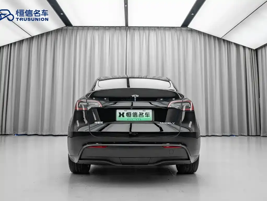 Tesla Model Y — фото 10