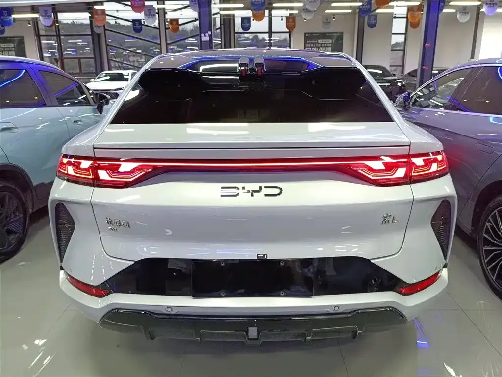 BYD L EV 2024 из CN, фото 4