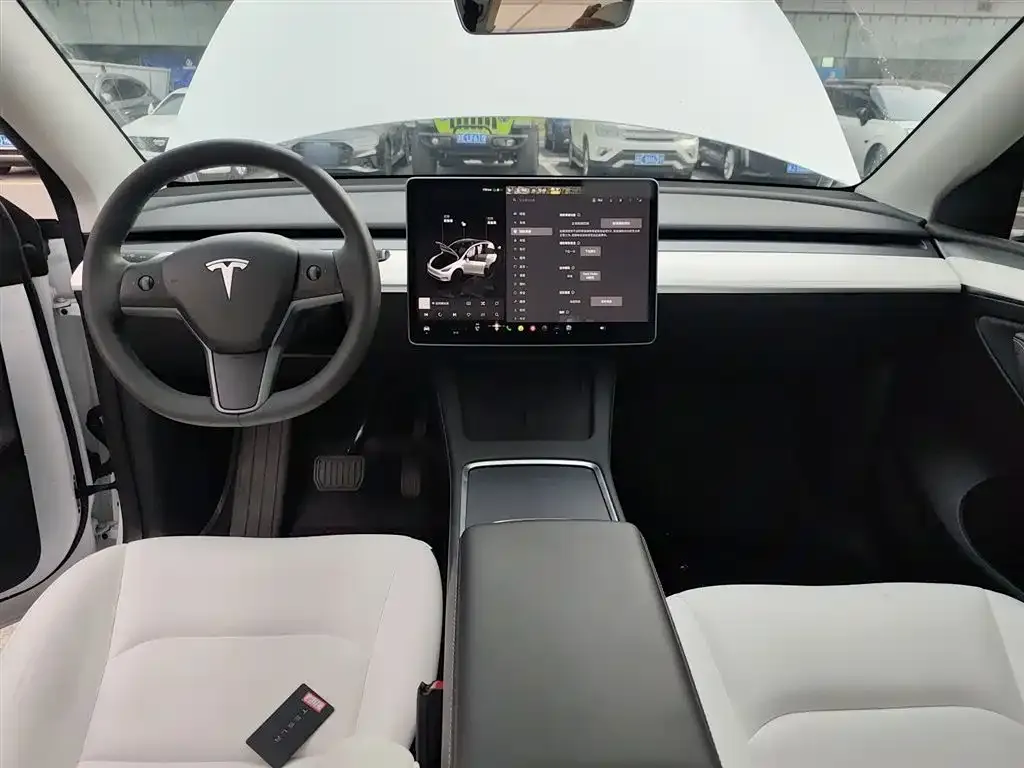 Tesla Model Y 2023 из CN, фото 3