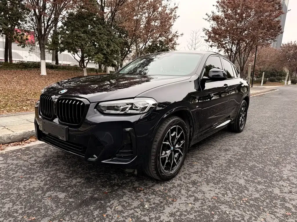 BMW X4 2023 из CN, фото 1
