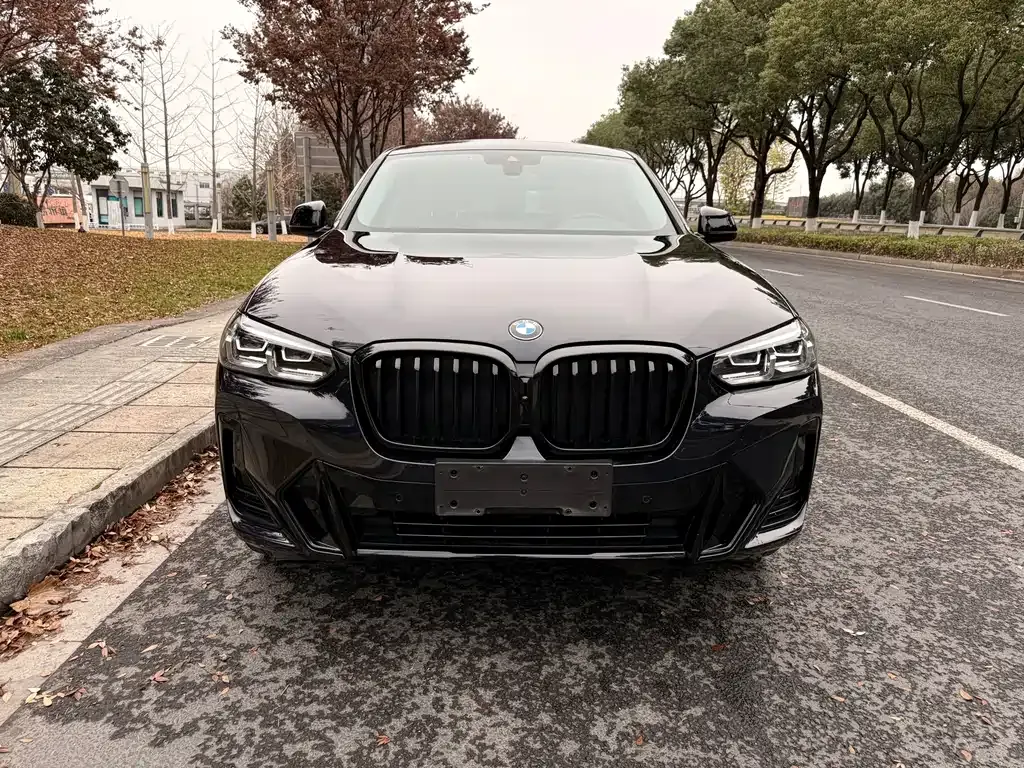 BMW X4 2023 из CN, фото 10